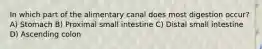 In which part of the alimentary canal does most digestion occur? A) Stomach B) Proximal small intestine C) Distal small intestine D) Ascending colon