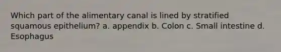 Which part of the alimentary canal is lined by stratified squamous epithelium? a. appendix b. Colon c. Small intestine d. Esophagus