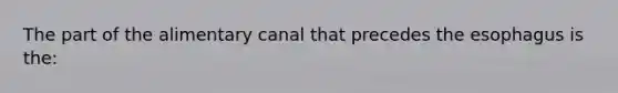 The part of the alimentary canal that precedes the esophagus is the: