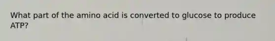 What part of the amino acid is converted to glucose to produce ATP?