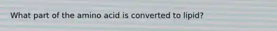 What part of the amino acid is converted to lipid?