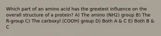 Which part of an amino acid has the greatest influence on the overall structure of a protein? A) The amino (NH2) group B) The R-group C) The carboxyl (COOH) group D) Both A & C E) Both B & C