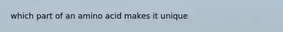 which part of an amino acid makes it unique