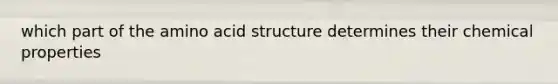 which part of the amino acid structure determines their chemical properties