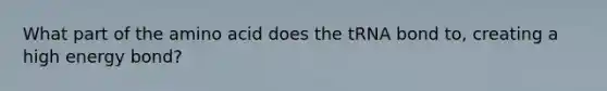 What part of the amino acid does the tRNA bond to, creating a high energy bond?