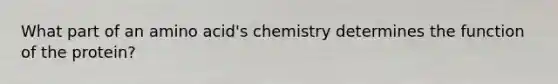 What part of an amino acid's chemistry determines the function of the protein?