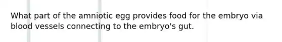 What part of the amniotic egg provides food for the embryo via blood vessels connecting to the embryo's gut.