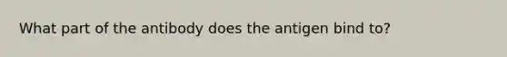 What part of the antibody does the antigen bind to?