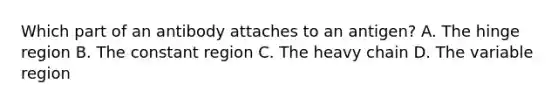 Which part of an antibody attaches to an antigen? A. The hinge region B. The constant region C. The heavy chain D. The variable region