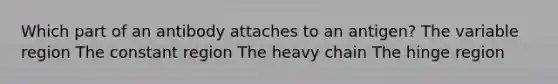 Which part of an antibody attaches to an antigen? The variable region The constant region The heavy chain The hinge region