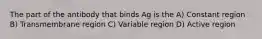 The part of the antibody that binds Ag is the A) Constant region B) Transmembrane region C) Variable region D) Active region