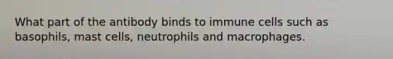 What part of the antibody binds to immune cells such as basophils, mast cells, neutrophils and macrophages.