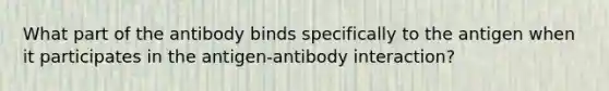 What part of the antibody binds specifically to the antigen when it participates in the antigen-antibody interaction?