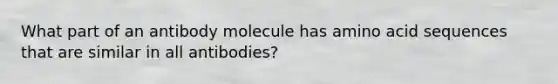 What part of an antibody molecule has amino acid sequences that are similar in all antibodies?