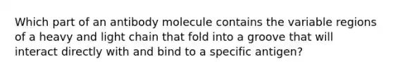 Which part of an antibody molecule contains the variable regions of a heavy and light chain that fold into a groove that will interact directly with and bind to a specific antigen?