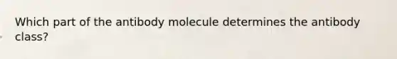 Which part of the antibody molecule determines the antibody class?