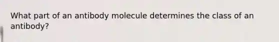 What part of an antibody molecule determines the class of an antibody?