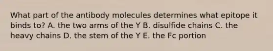 What part of the antibody molecules determines what epitope it binds to? A. the two arms of the Y B. disulfide chains C. the heavy chains D. the stem of the Y E. the Fc portion