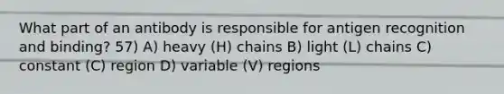 What part of an antibody is responsible for antigen recognition and binding? 57) A) heavy (H) chains B) light (L) chains C) constant (C) region D) variable (V) regions