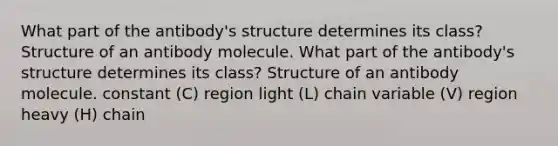 What part of the antibody's structure determines its class? Structure of an antibody molecule. What part of the antibody's structure determines its class? Structure of an antibody molecule. constant (C) region light (L) chain variable (V) region heavy (H) chain