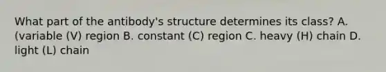 What part of the antibody's structure determines its class? A. (variable (V) region B. constant (C) region C. heavy (H) chain D. light (L) chain