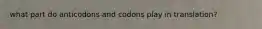 what part do anticodons and codons play in translation?