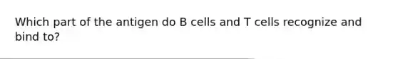 Which part of the antigen do B cells and T cells recognize and bind to?