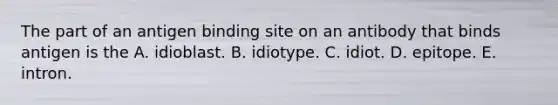 The part of an antigen binding site on an antibody that binds antigen is the A. idioblast. B. idiotype. C. idiot. D. epitope. E. intron.