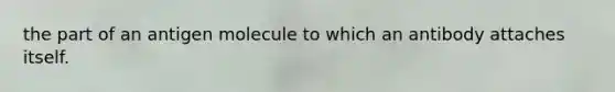 the part of an antigen molecule to which an antibody attaches itself.