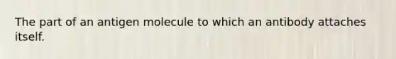 The part of an antigen molecule to which an antibody attaches itself.