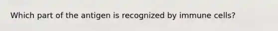 Which part of the antigen is recognized by immune cells?