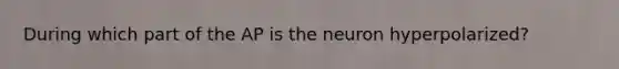 During which part of the AP is the neuron hyperpolarized?