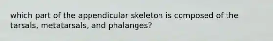 which part of the appendicular skeleton is composed of the tarsals, metatarsals, and phalanges?