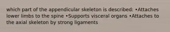 which part of the appendicular skeleton is described: •Attaches lower limbs to the spine •Supports visceral organs •Attaches to the axial skeleton by strong ligaments