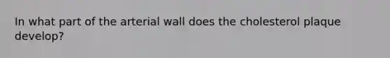 In what part of the arterial wall does the cholesterol plaque develop?