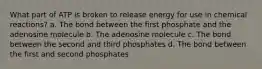 What part of ATP is broken to release energy for use in chemical reactions? a. The bond between the first phosphate and the adenosine molecule b. The adenosine molecule c. The bond between the second and third phosphates d. The bond between the first and second phosphates