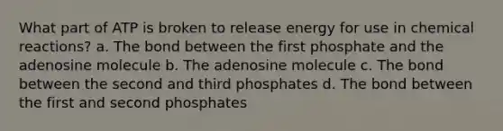 What part of ATP is broken to release energy for use in chemical reactions? a. The bond between the first phosphate and the adenosine molecule b. The adenosine molecule c. The bond between the second and third phosphates d. The bond between the first and second phosphates