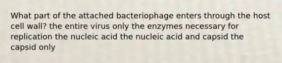 What part of the attached bacteriophage enters through the host cell wall? the entire virus only the enzymes necessary for replication the nucleic acid the nucleic acid and capsid the capsid only