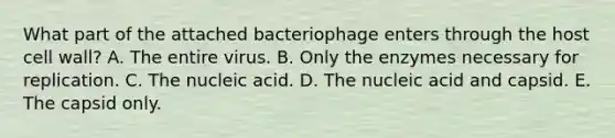 What part of the attached bacteriophage enters through the host cell wall? A. The entire virus. B. Only the enzymes necessary for replication. C. The nucleic acid. D. The nucleic acid and capsid. E. The capsid only.