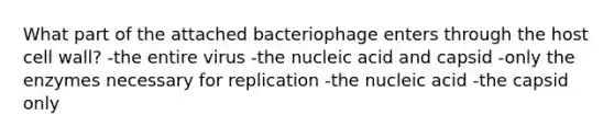 What part of the attached bacteriophage enters through the host cell wall? -the entire virus -the nucleic acid and capsid -only the enzymes necessary for replication -the nucleic acid -the capsid only