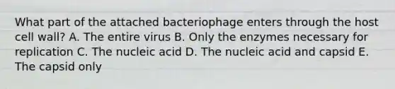 What part of the attached bacteriophage enters through the host cell wall? A. The entire virus B. Only the enzymes necessary for replication C. The nucleic acid D. The nucleic acid and capsid E. The capsid only