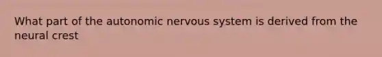 What part of the autonomic nervous system is derived from the neural crest