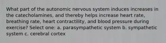 What part of the autonomic nervous system induces increases in the catecholamines, and thereby helps increase heart rate, breathing rate, heart contractility, and blood pressure during exercise? Select one: a. parasympathetic system b. sympathetic system c. cerebral cortex