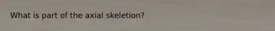 What is part of the axial skeletion?