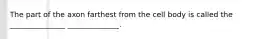 The part of the axon farthest from the cell body is called the _______________ ______________.