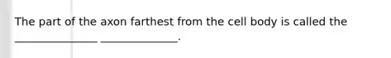 The part of the axon farthest from the cell body is called the _______________ ______________.