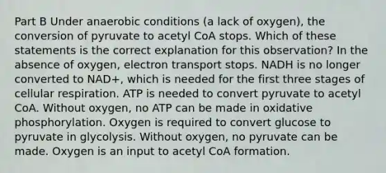 Part B Under anaerobic conditions (a lack of oxygen), the conversion of pyruvate to acetyl CoA stops. Which of these statements is the correct explanation for this observation? In the absence of oxygen, electron transport stops. NADH is no longer converted to NAD+, which is needed for the first three stages of <a href='https://www.questionai.com/knowledge/k1IqNYBAJw-cellular-respiration' class='anchor-knowledge'>cellular respiration</a>. ATP is needed to convert pyruvate to acetyl CoA. Without oxygen, no ATP can be made in <a href='https://www.questionai.com/knowledge/kFazUb9IwO-oxidative-phosphorylation' class='anchor-knowledge'>oxidative phosphorylation</a>. Oxygen is required to convert glucose to pyruvate in glycolysis. Without oxygen, no pyruvate can be made. Oxygen is an input to acetyl CoA formation.