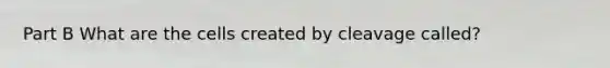 Part B What are the cells created by cleavage called?