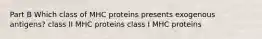 Part B Which class of MHC proteins presents exogenous antigens? class II MHC proteins class I MHC proteins