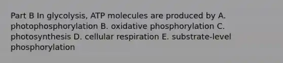 Part B In glycolysis, ATP molecules are produced by A. photophosphorylation B. <a href='https://www.questionai.com/knowledge/kFazUb9IwO-oxidative-phosphorylation' class='anchor-knowledge'>oxidative phosphorylation</a> C. photosynthesis D. <a href='https://www.questionai.com/knowledge/k1IqNYBAJw-cellular-respiration' class='anchor-knowledge'>cellular respiration</a> E. substrate-level phosphorylation